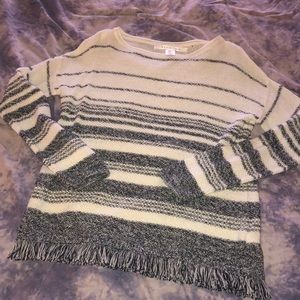 BRAND NEW! Max Studio Cream and Navy Sweater